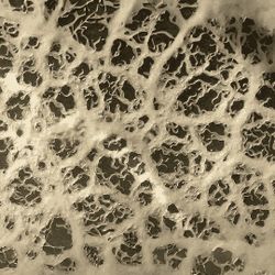 Fish Food (Micro worms, Banana And Walter Worms 🪱, And Vinegar Eels)