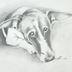 Pencil Portrait "Russell " 11x14"