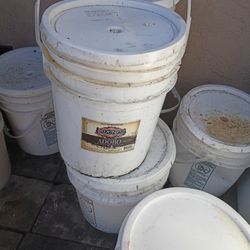 Mante De Puerco 32libras $25