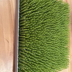 Free Boon Baby Bottle Drying Rack