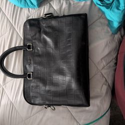 Alligator Skin Coach Bag (Authentic)