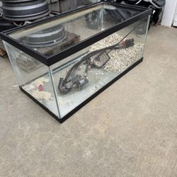 55 Gallon Aquarium 1 Lid, Lights, Plants, Wood