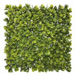 Greenery model Jade, 20”x 20” Artificial Indoor and Outdoor - UV Resistant -"