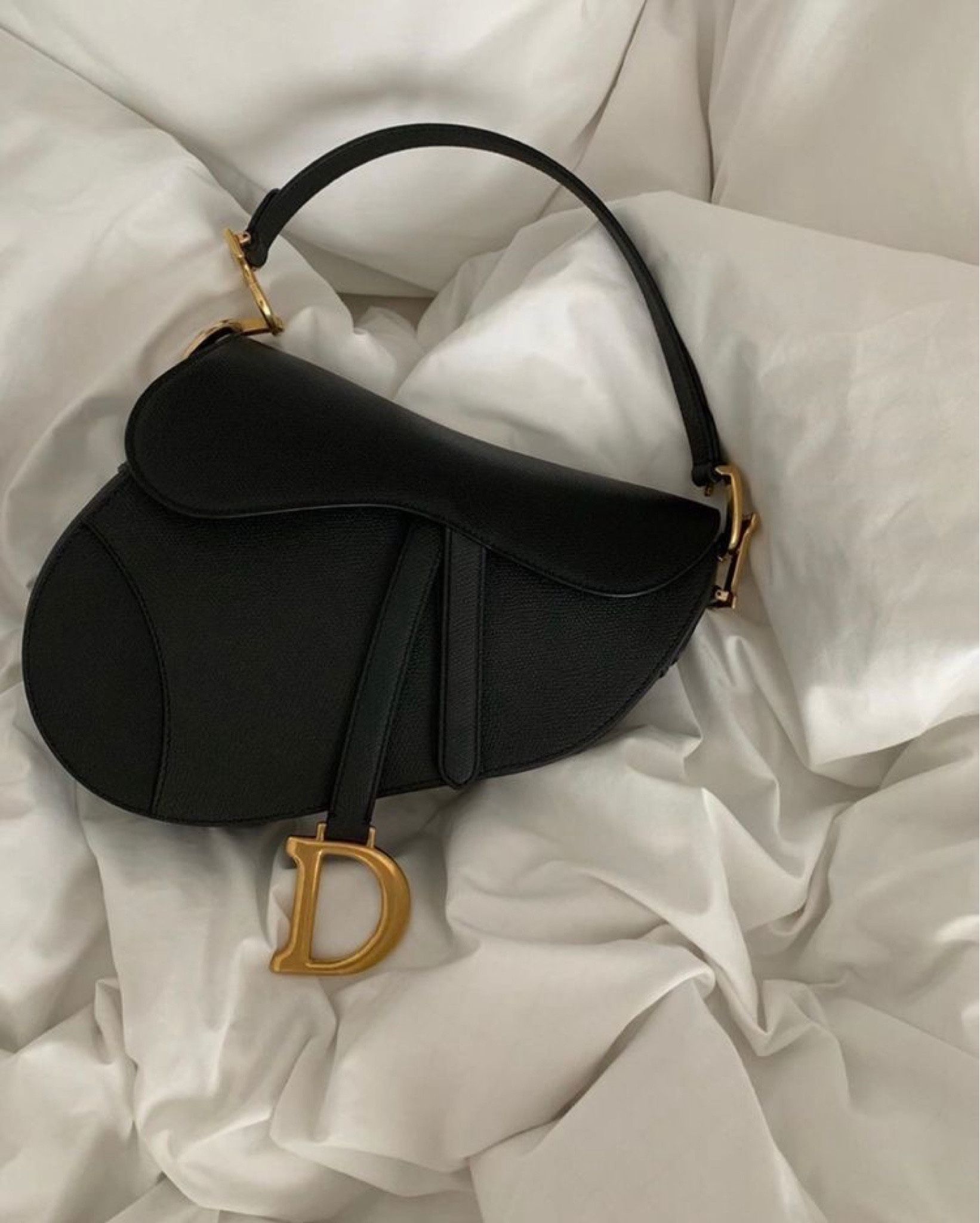 Dior saddlebag