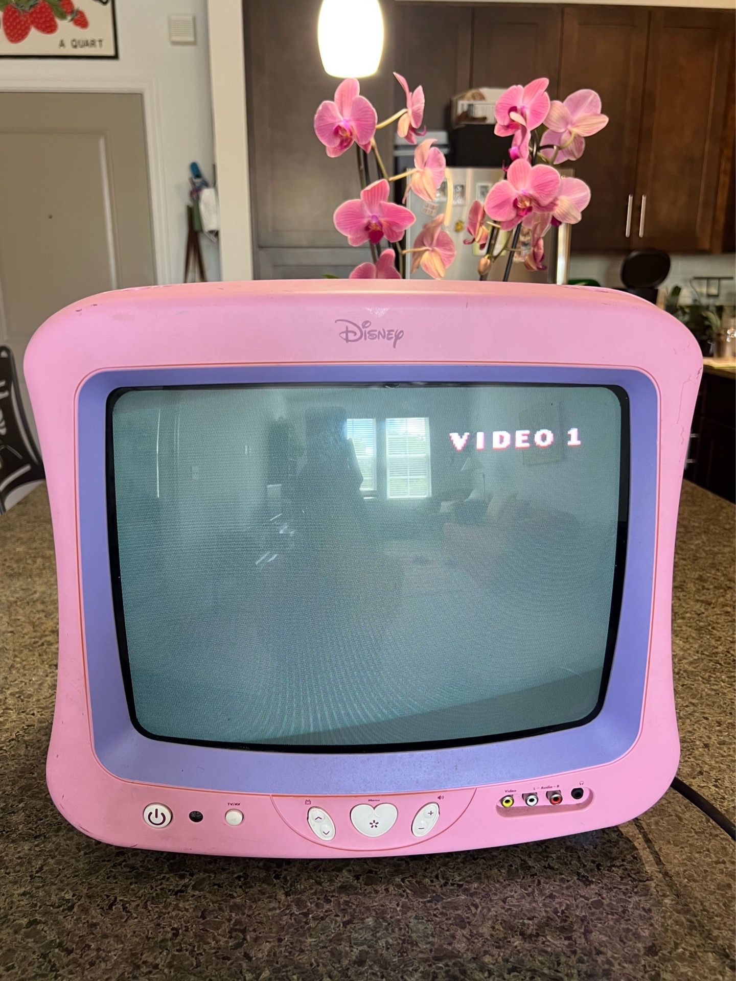 Pink Disney Princess CRT Television - READ DESCRIPTION