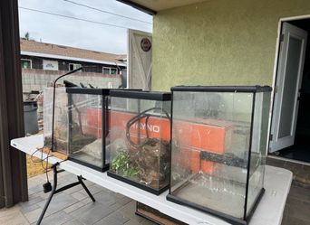 Small reptile tanks!!