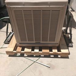 Swamp Cooler 