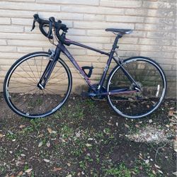 Giant Road Bike Male  & Female