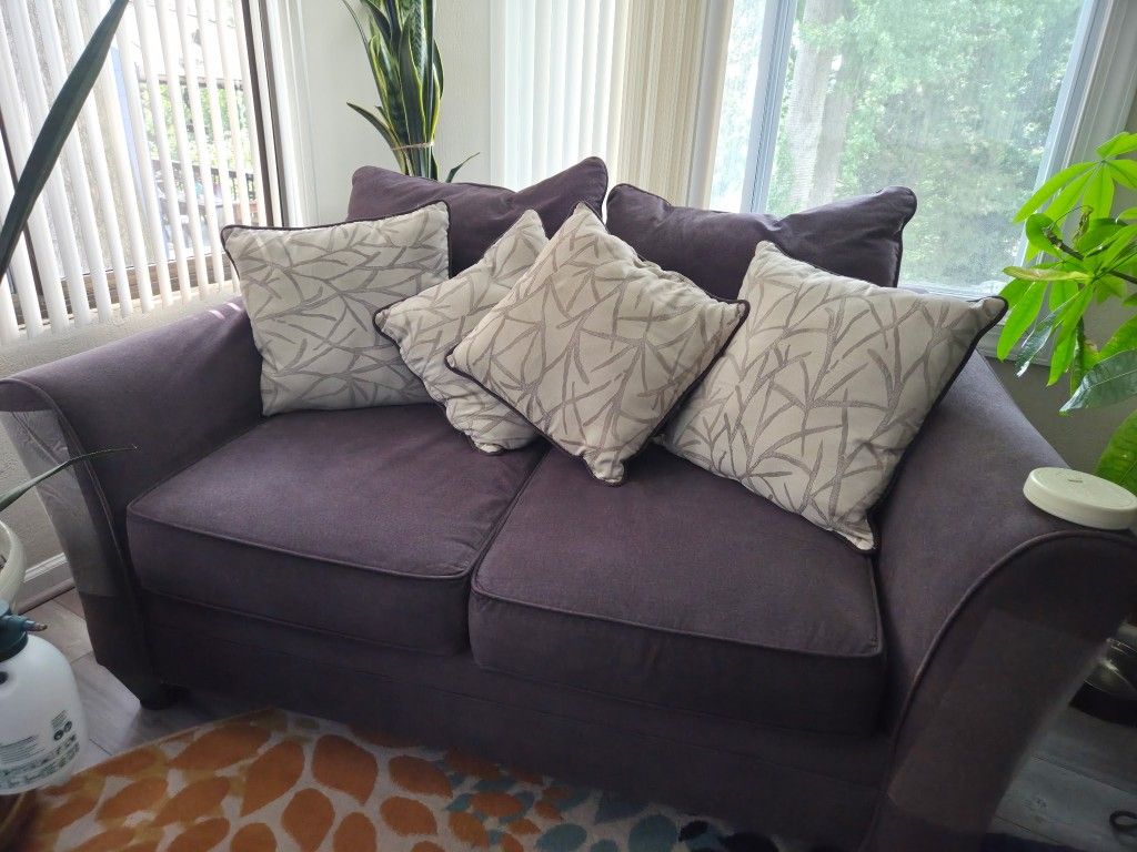 Two Dark Gray Sofas