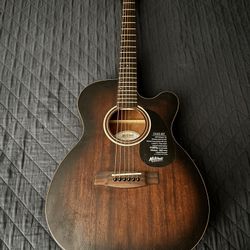 Mitchell Guitar