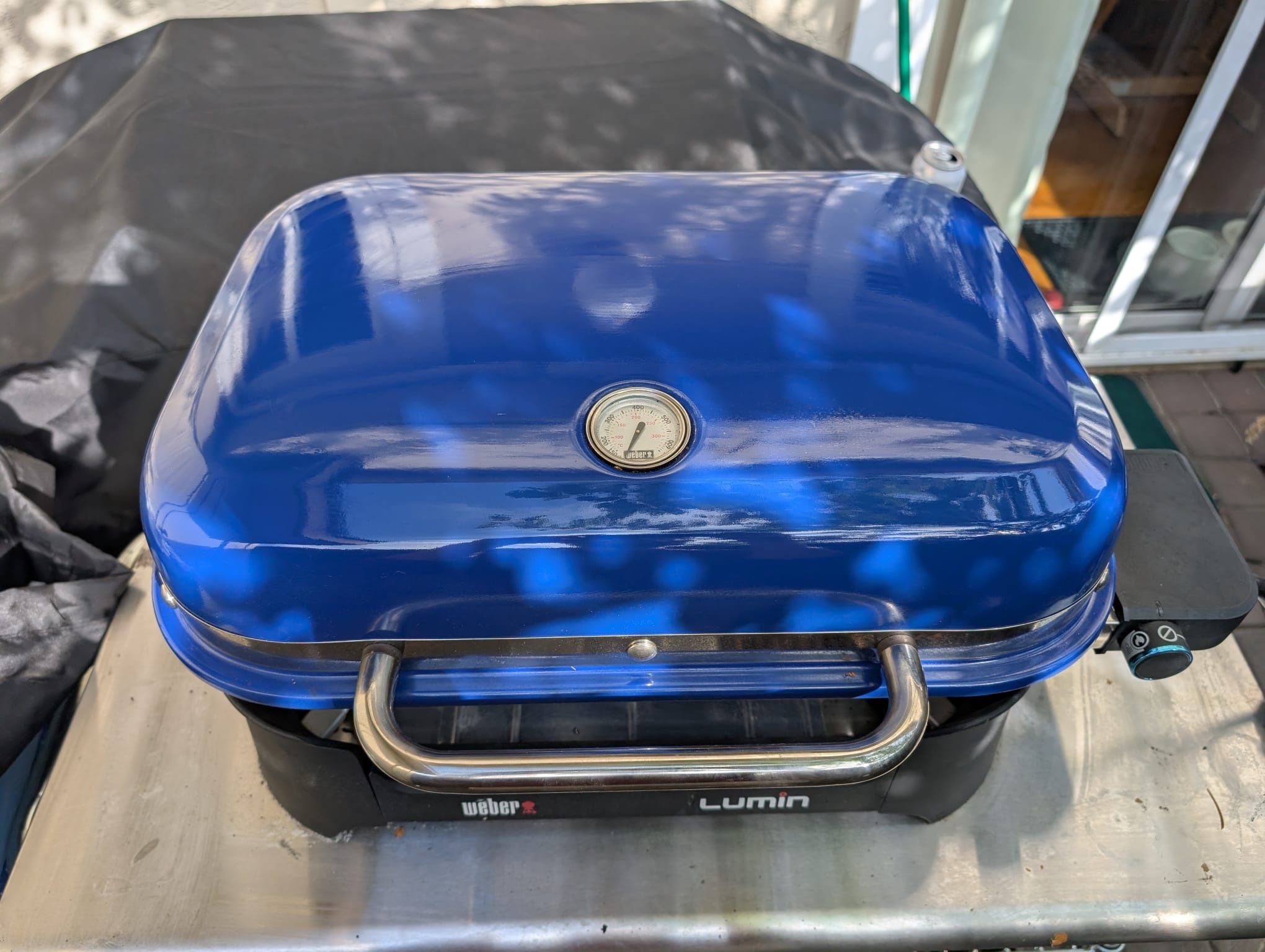 Weber Electric Grill