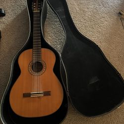 Acoustic Guitar