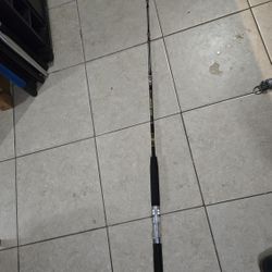 Salt water Deep Sea Fishing Rods Penn