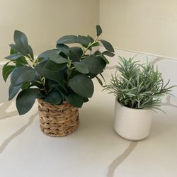 Faux Plants
