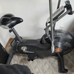 Schwinn Airdyne 6