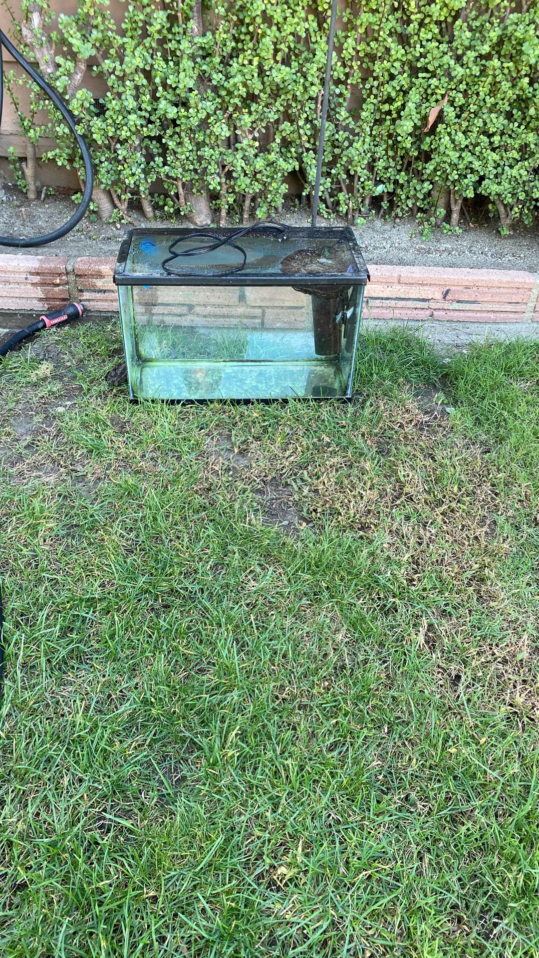 Aquarium $20 With Filter