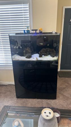 JBJ saltwater aquarium 65 gallons