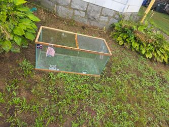 Free glass Tank