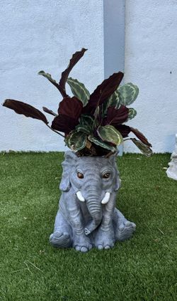 elephant flower pot