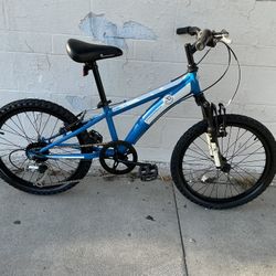 Blue Cobra 20in MTB 