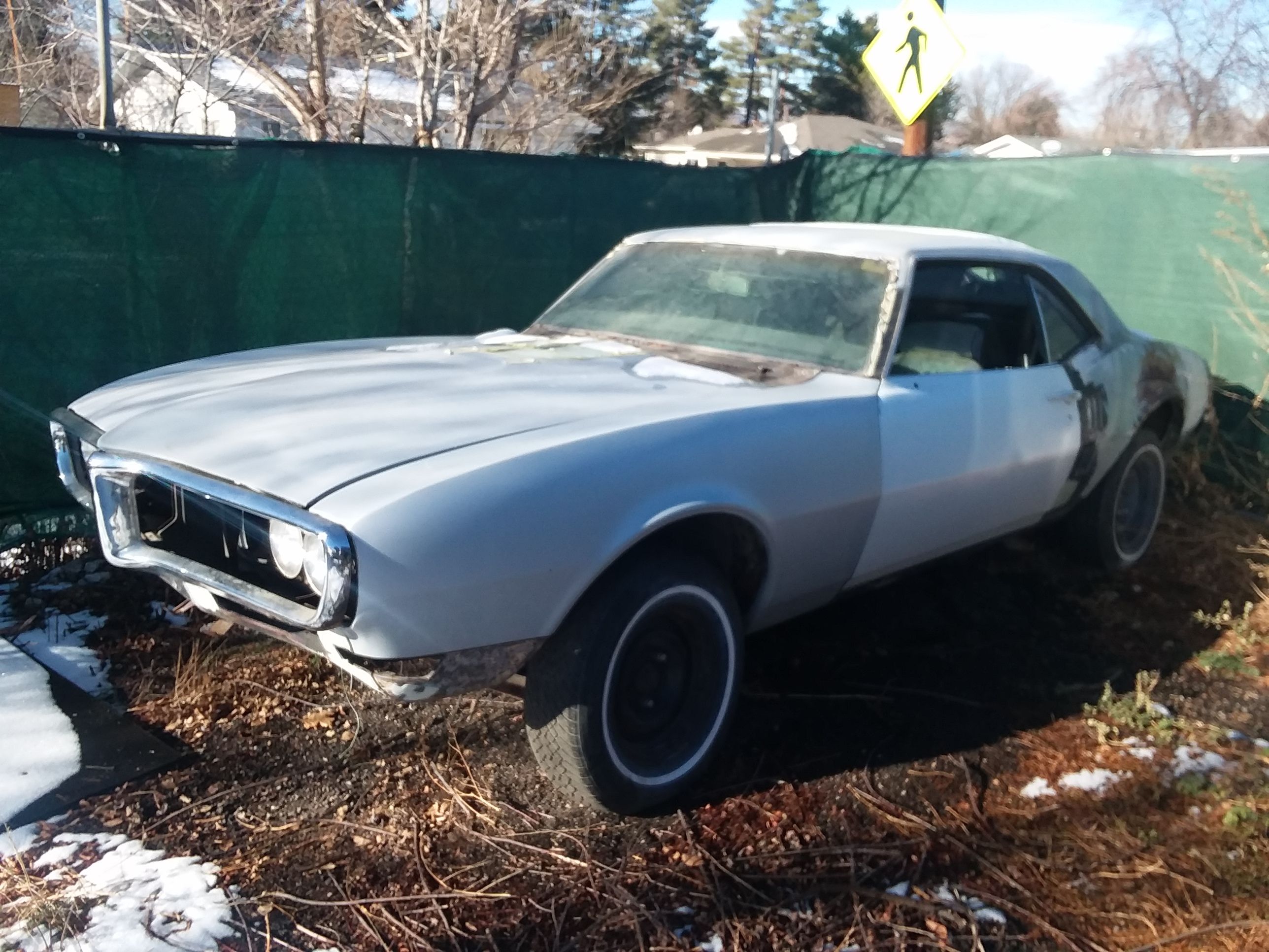 1967 firebird project