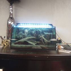 Dope 7 Gallon Aquarium 