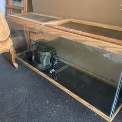 Terrarium 