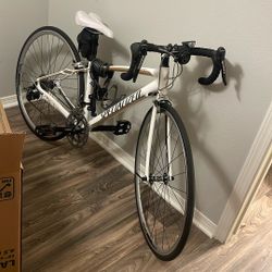 Dolce Specialized Bike 