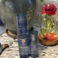 Bath & Body Works Aqua Hour Bundle