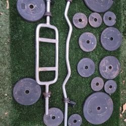 Triceps Bar And Curl Bar Weight Lifting 
