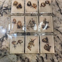 John Player & Sons 1930 Dogs 1-25