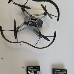 Parrot Mini Drone