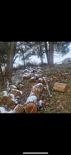 Fire Wood Osage Orange