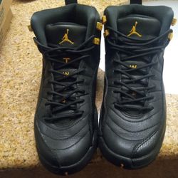 Jordan 12 Taxi