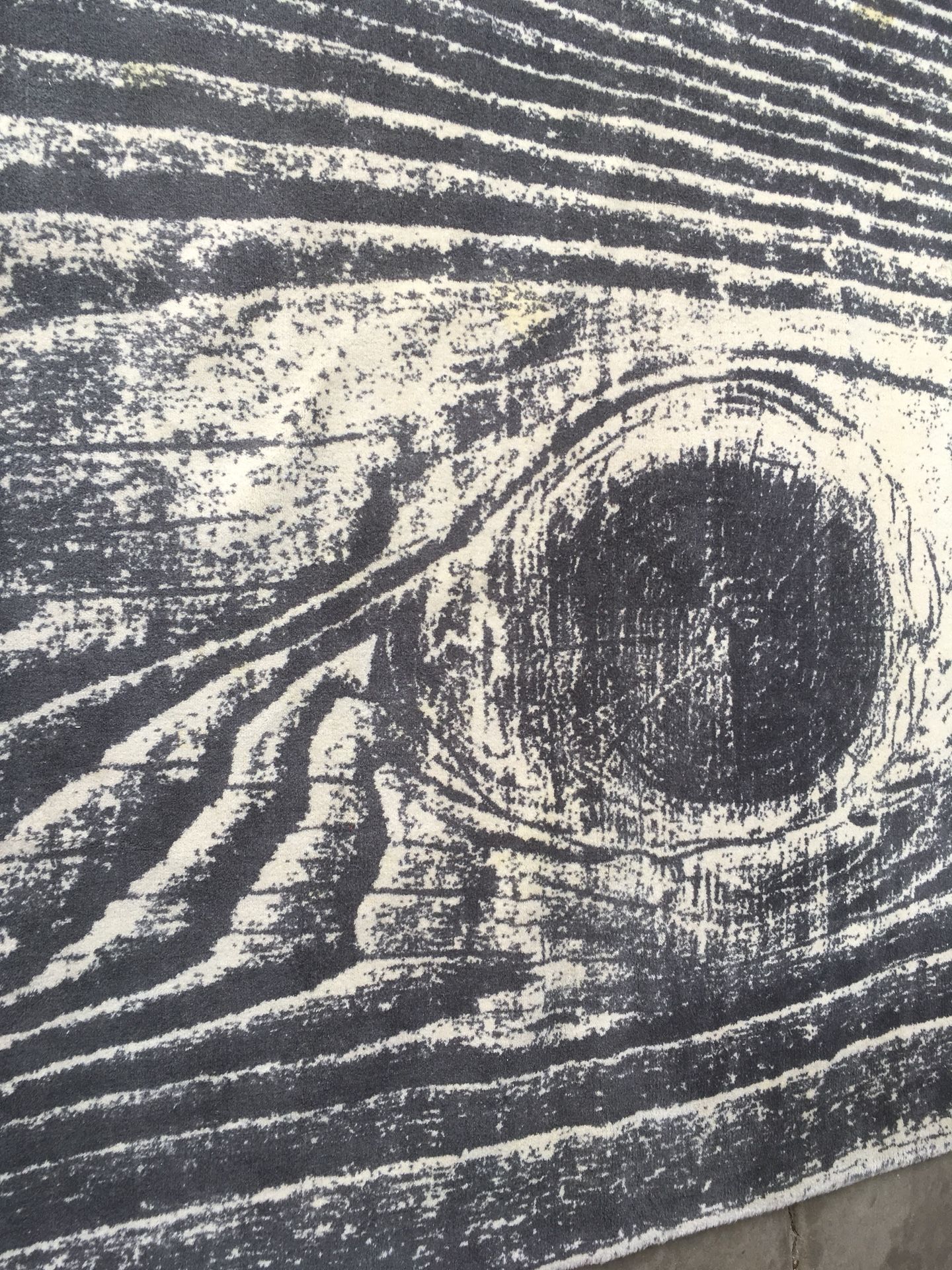 Rug