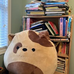 GIANT dog squishmallow named Grizz