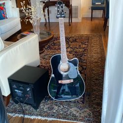 Takamine Guitar “Legacy EF341FC”