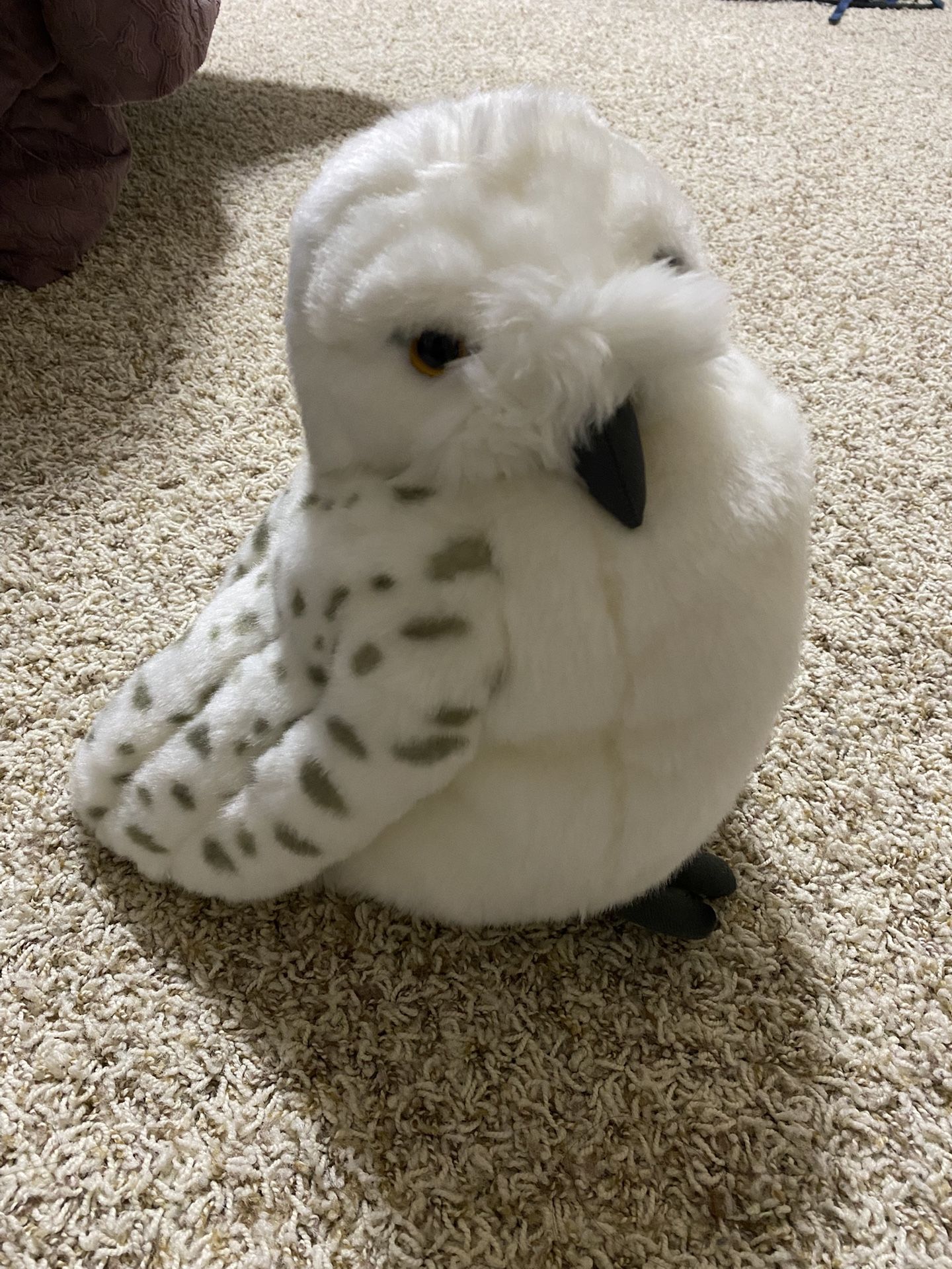 Hedwig Harry Potter Owl