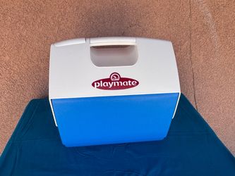 IGLOO PLAYMATE COOLER