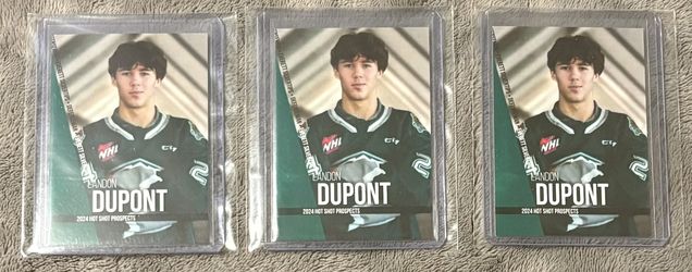 Everett Silvertips