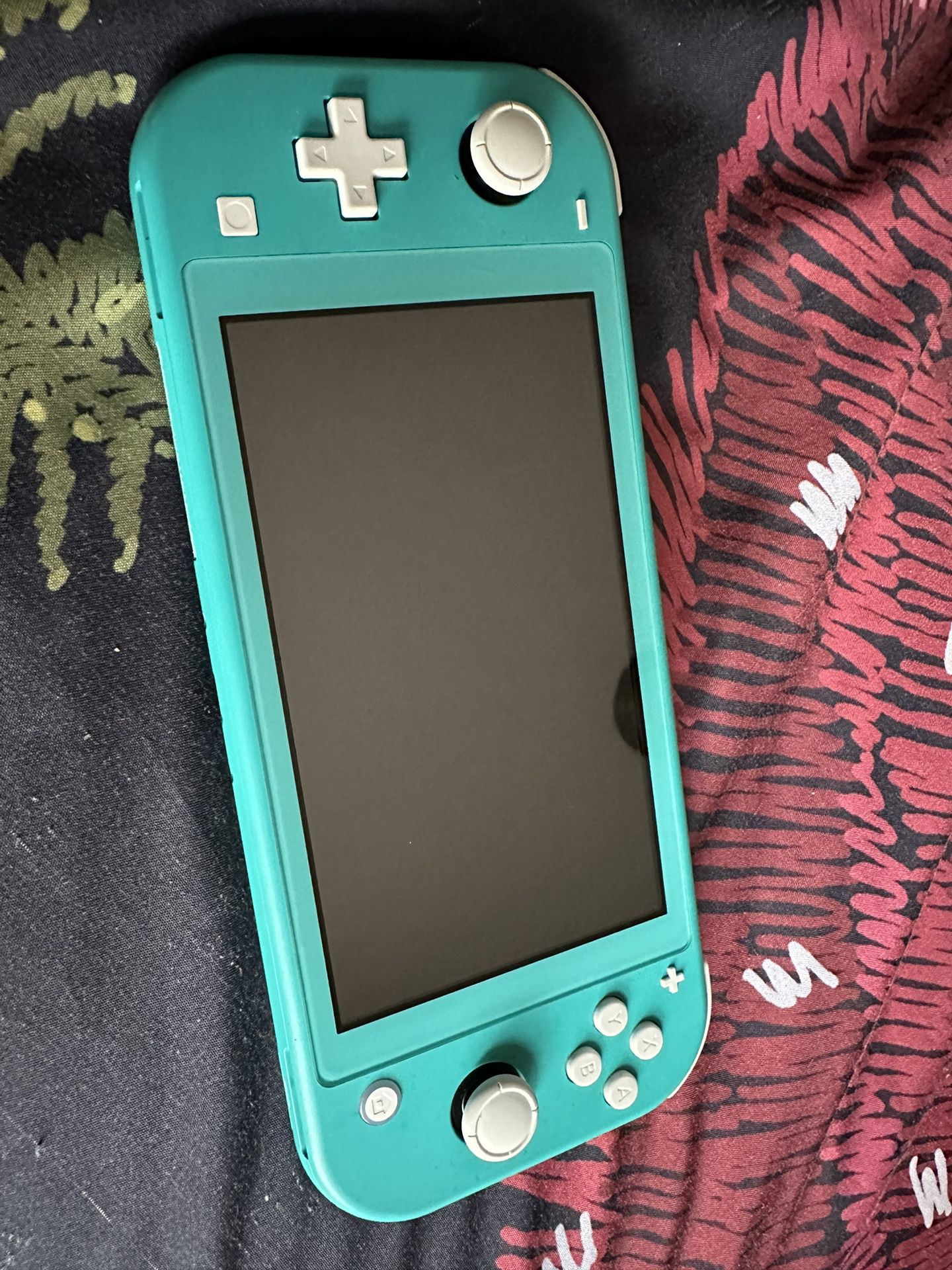GPS And Switch Lite