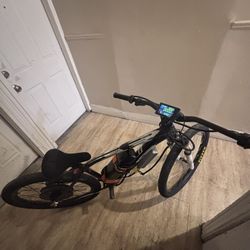 48v E-bike Conversion 