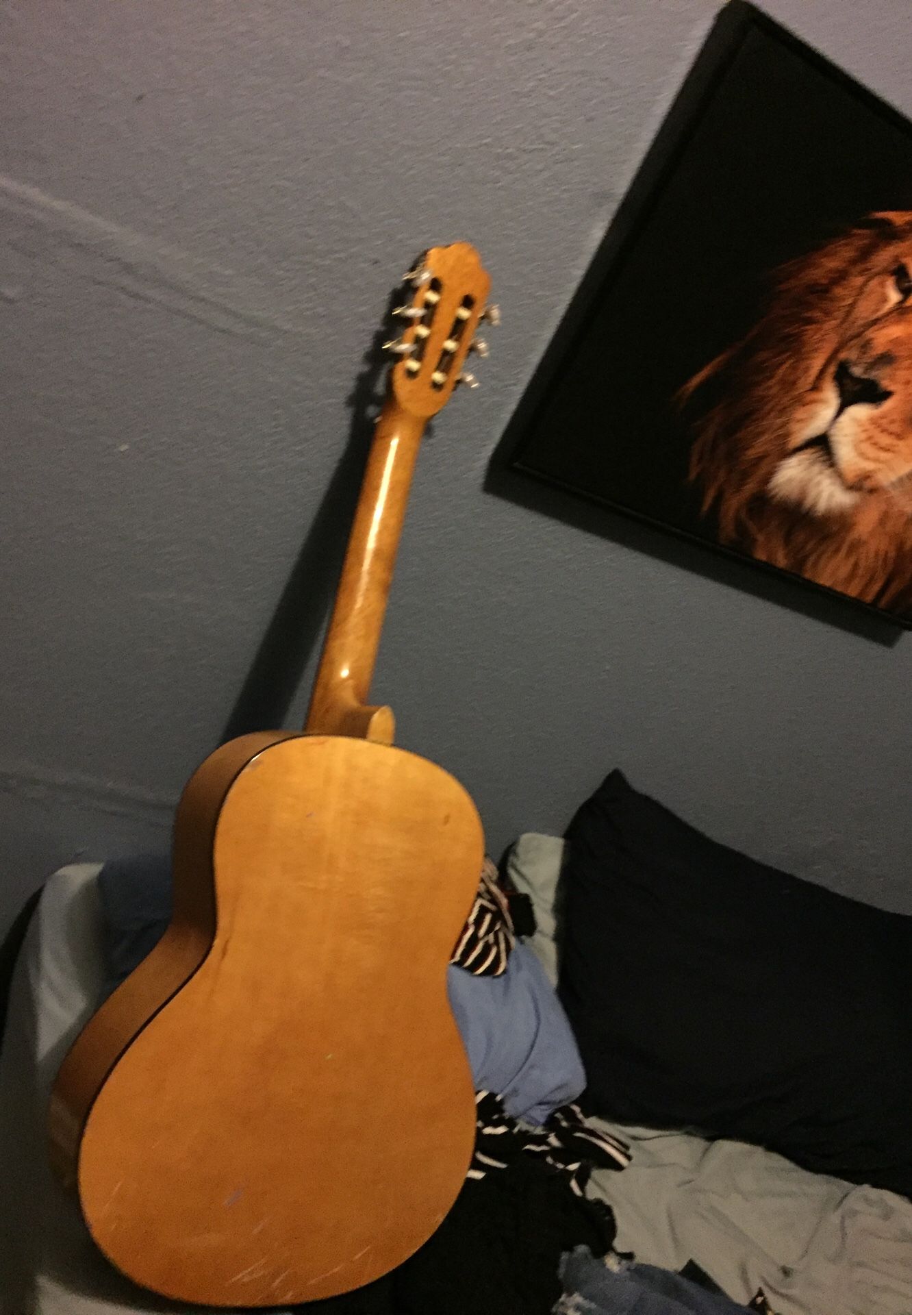Guitar $80 obo