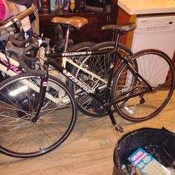 Wellinfton  Windsor Bike 