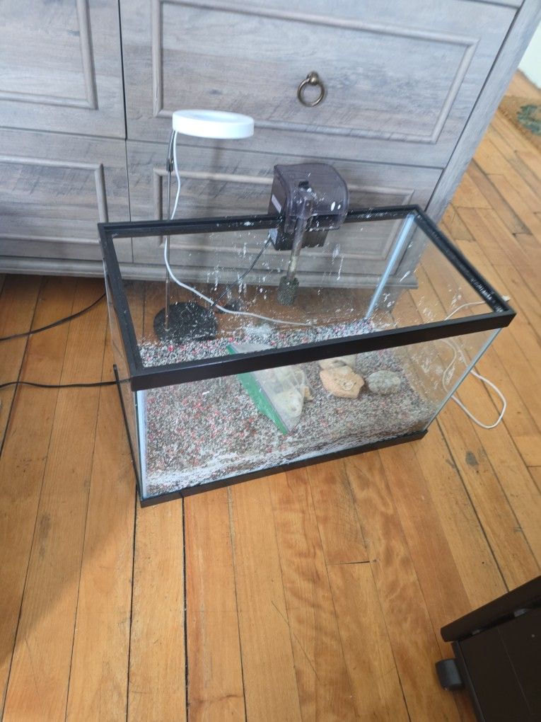 10 Gallon Fish Tank