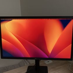 LG UltraFine 24 Inch Monitor! Perfect For Mac Laptops