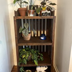 Plant Stand 