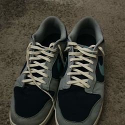 Nike Dunks Little Used 
