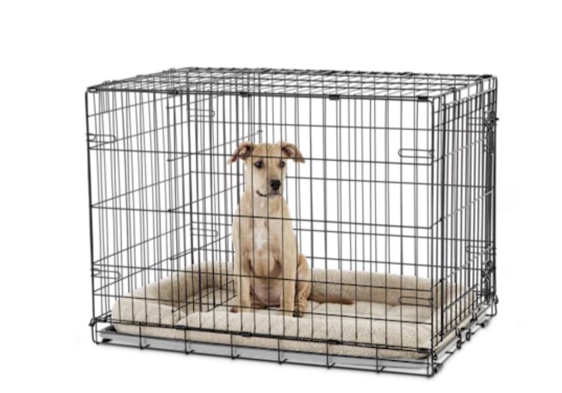 Dog Crate