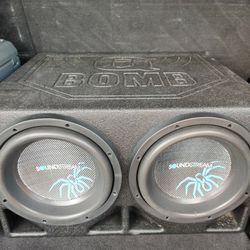 10 Inch Subwoofers and Box 